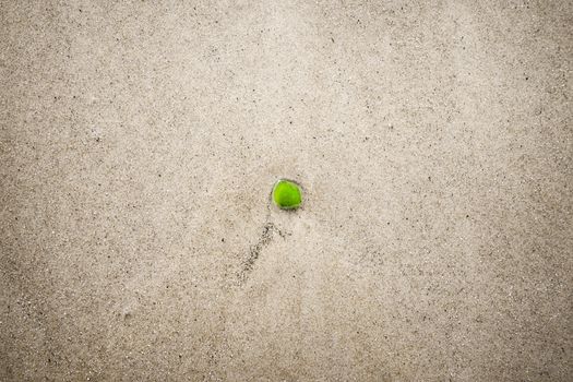 Green sanded glass in the water on a beach washed up on the shore in the summer