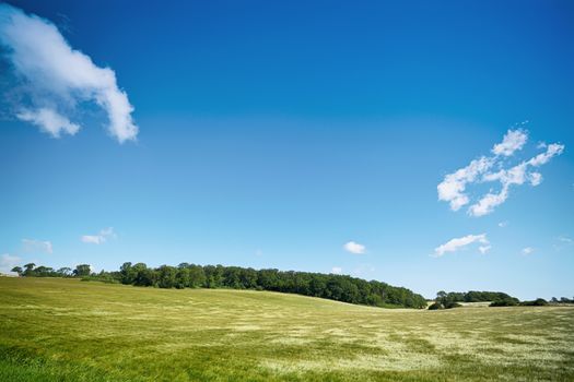 Rural landscape with fields under a blue sky and a green forest in the background