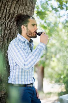Portrait of man having wine in the park on a sunny day