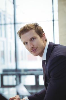 Portrait of businessman sitting in the office