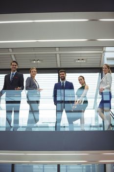 Portrait of business executives standing in the office