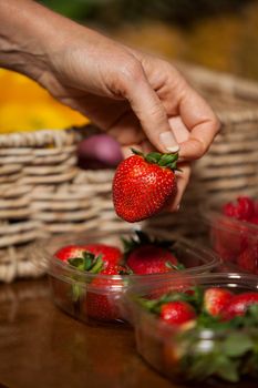 Hand of male staff holding strawberry in supermarket