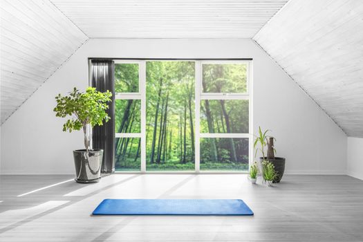 Yoga gym room in a green forest with a blue mat on the floor and green plants