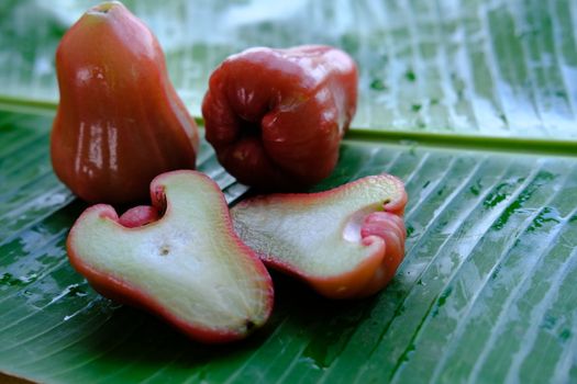 Rose Apple ripe fresh exotic fruit whole and cut on the wet banana leaf isolated. 