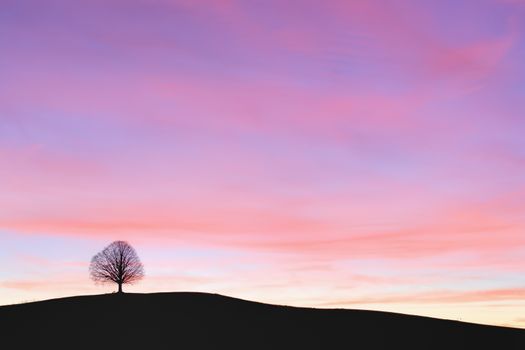 A silhouette of a single tree on a hill at sunset

Switzerland