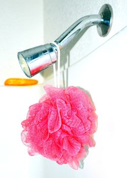 Shower head sponge and soap inside a bathroom.