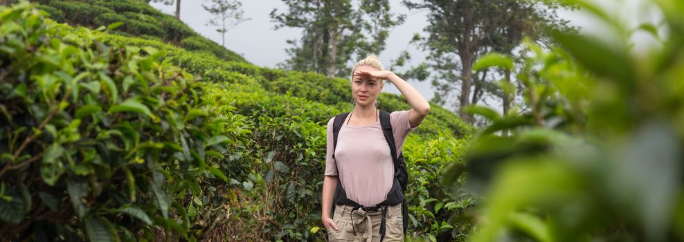 Active caucasian blonde woman enjoing fresh air and pristine nature while tracking among tea plantaitons near Ella, Sri Lanka. Bacpecking outdoors tourist adventure.