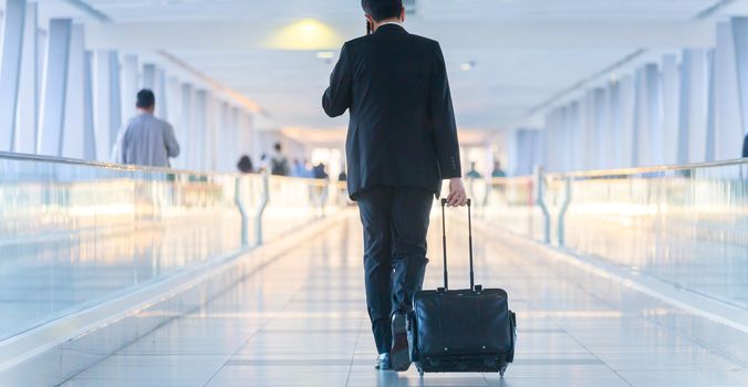 Rear view of unrecognizable formaly dressed businessman walking and wheeling a trolley suitcase at the lobby, talking on a mobile phone. Business travel concept.