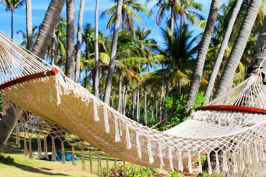 Hammock between two palm trees on the beach. Pineapple island, Vietnam