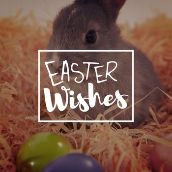 Easter greeting against easter eggs and easter bunny in the nest