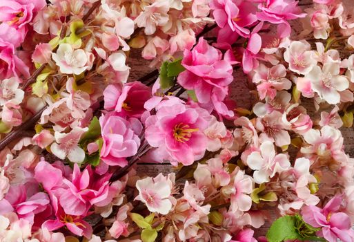 Filled frame of artificial cherry blossoms for spring time concept  