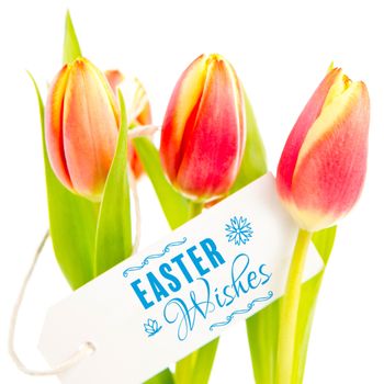 Easter Wishes logo against white background against tulips with card