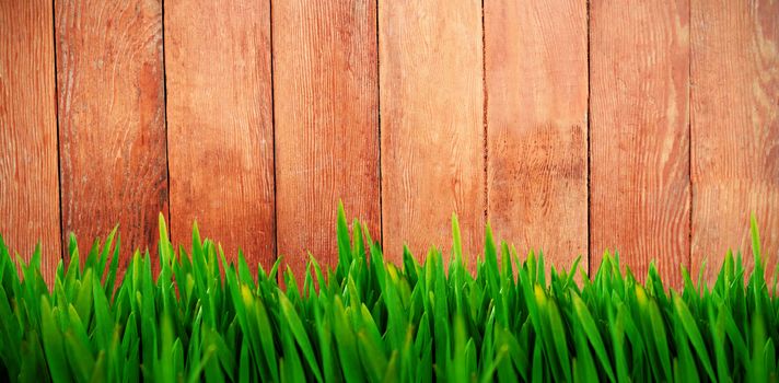 Grass growing outdoors against wood panelling