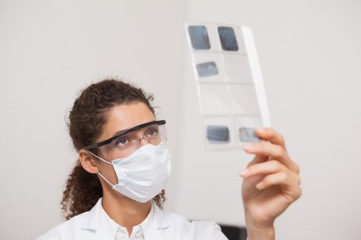 Dentist examining xrays on computer at the dental clinic