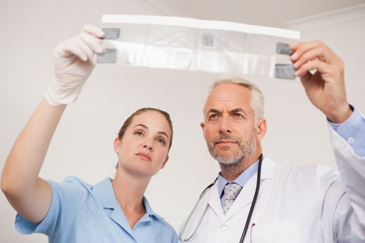 Dentist and assistant studying x-rays at the dental clinic