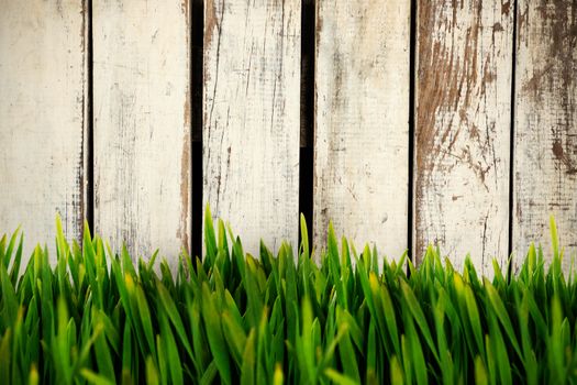 Grass growing outdoors against wood panelling in pattern
