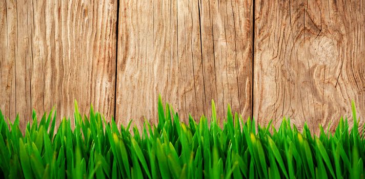 Grass growing outdoors against close-up of wooden texture