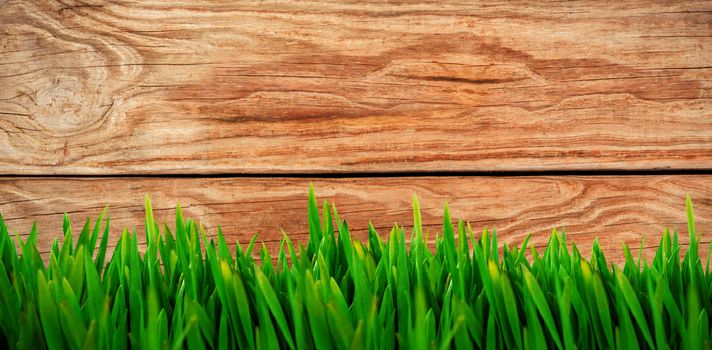 Grass growing outdoors against brown wood panelling