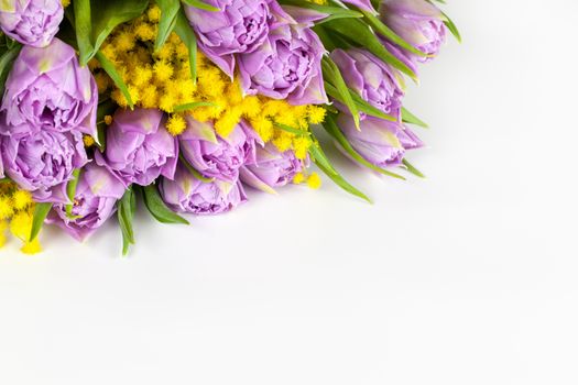 Bouquet of lilac tulips and yellow mimosas on white background, copy space, side view, closeup. March 8, February 14, birthday, Valentine's, Mother's, Women's day celebration, spring concept.