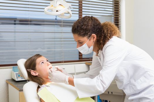 Pediatric dentist examining a patients teeth in the dentists chair at the dental clinic
