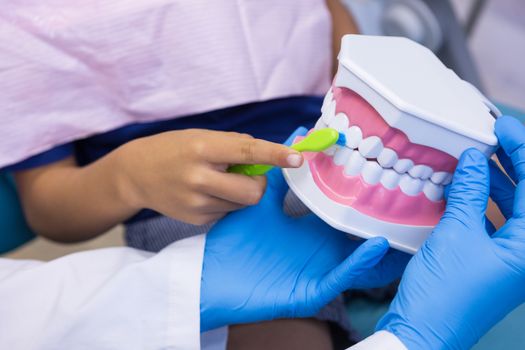 Cropped image of dentist teaching boy brushing teeth of dentures at clinic