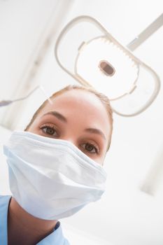 Dentist in surgical mask holding dental explorer over patient at the dental clinic