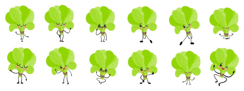 Spinach character. Cute cartoon. Vegetables and greens. Beneficial features. Sorrel leaves.