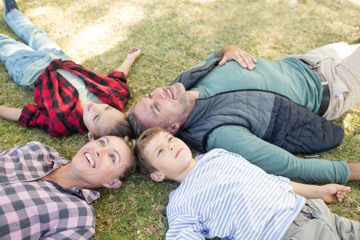 Happy family lying on the grass in park