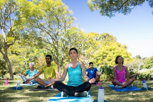 Group of people performing yoga in the park on a sunny day