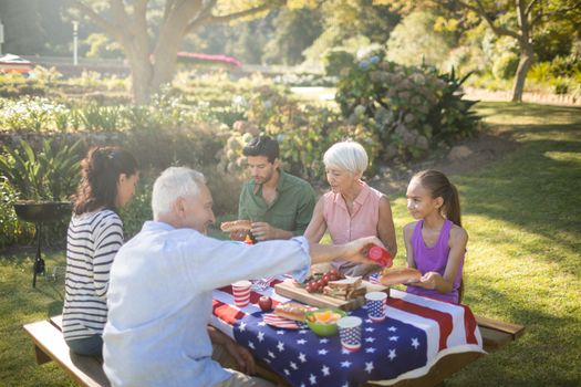 Family having meal in the park on a sunny day