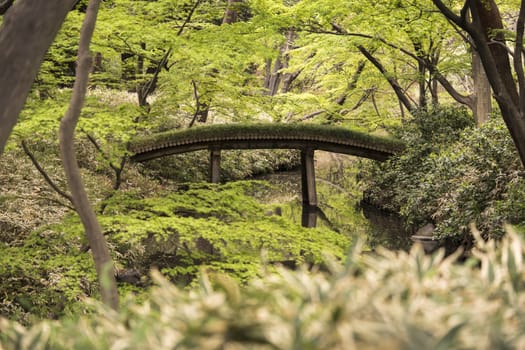 Yamakage wooden bridge lined with moss seen from Tsutsuji Tea House in the Rikugien Garden in Bunkyo district, north of Tokyo. The park was created at the beginning of the 18th century.