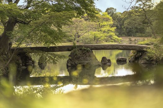 japanese Togetsu Stone bridge on the pond of Rikugien Park in Bunkyo district, north of Tokyo. The park was created at the beginning of the 18th century.