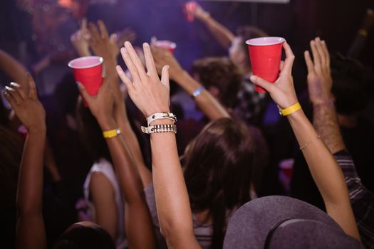 People enjoying music concert at nightclub