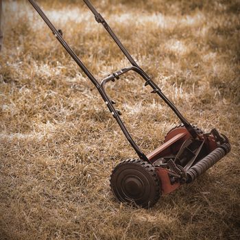 Low section of a man with lawnmower on grassy field in yard