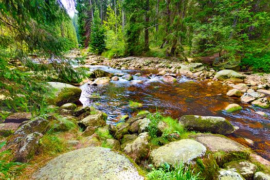 River fast runs over boulders in the primeval forest