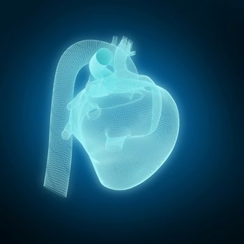 Vector image ofÂ 3d human heart against blue background with vignette