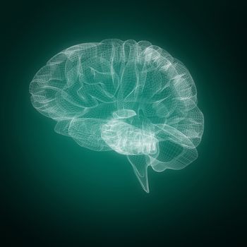 3d illustration of human brain  against green background with vignette