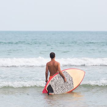 Rear view of unrecognizable male surfer at tropical beach with sup surf board and paddle in his hands.