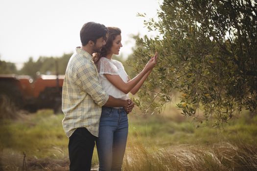 Romantic young couple standing by tree at farm