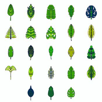 Vector icon of various leaves against white background
