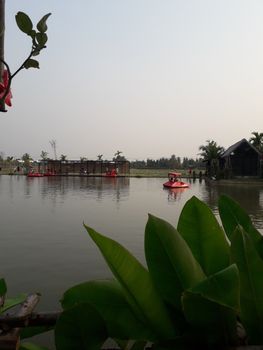 On the weekend Sunset at the lotus pond in Thailand