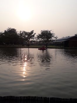 On the weekend Sunset at the lotus pond in Thailand