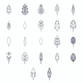 Vector icon of various outline leaves against white background