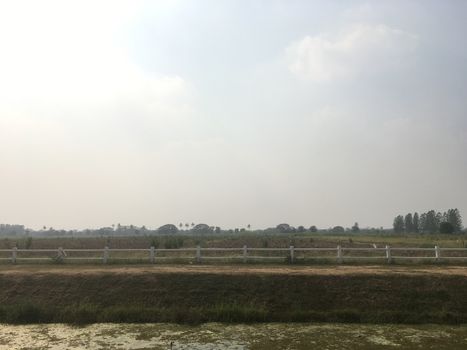 Agricultural garden, agronomy, vegetable garden, orchard and orchard in the evening before sunset.