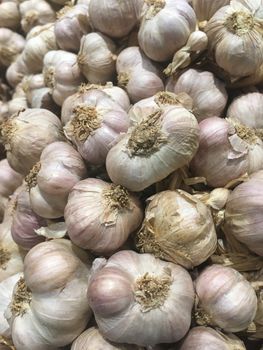 Many small, fresh, light purple garlic products are on the market.