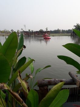 On the weekend Sunset at the lotus pond in Thailand