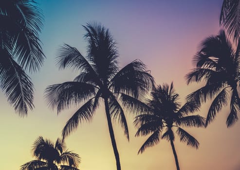 Retro Style Hawaii Sunset Palm Trees With Vibrant Colors