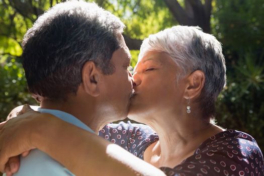 Senior couple kissing each other in park during summer