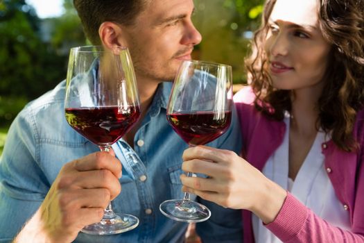 Romantic couple toasting glass of wine in park on a sunny day