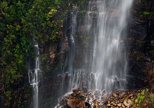 Waterfall cascading over a sheer cliff to a base of rocks and rubble.  Fern, grasses and plants cling to the sheer rock face